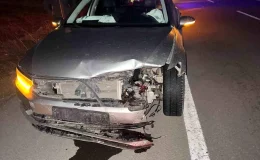 AK Parti Ardahan İl Başkanı’nın aracı domuz sürüsüne çarptı