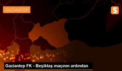 Beşiktaş Teknik Direktörü Fernando Santos: Rakip Bizden Daha İyi Oynadı, Taraftarlarımızdan Özür Dileriz