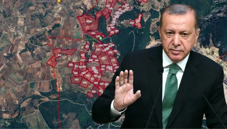 Cumhurbaşkanı Erdoğan, Akbelen’deki araziler kamulaştırma kararını iptal etti