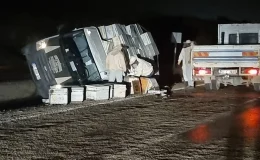 Adana’da arı kovanı yüklü kamyonet devrildi, 1 kişi yaralandı