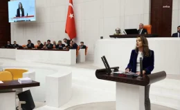 CHP Milletvekili Gamze Akkuş İlgezdi, Bakanın giyim yardımı rakamlarını eleştirdi