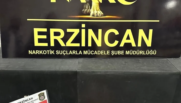 Erzincan’da 169,86 gram skunk ele geçirildi, 1 kişi gözaltına alındı