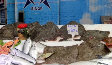 Sinop’ta Kalkan Balığının Fiyatı Düştü