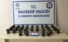 Balıkesir’de Evde Esrar Yetiştiren Şahıs Gözaltına Alındı