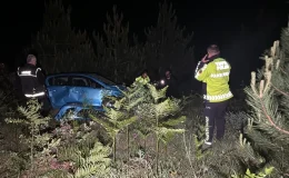 Bolu’da Uçuruma Yuvarlanan Otomobildeki Kişi Yaralandı