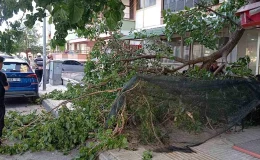 Çorum’da Kaldırımda Yürüyen Kadına Ağaç Dalı Düştü