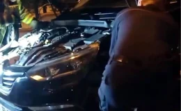 İzmit’te otomobile giren yılan korkuttu