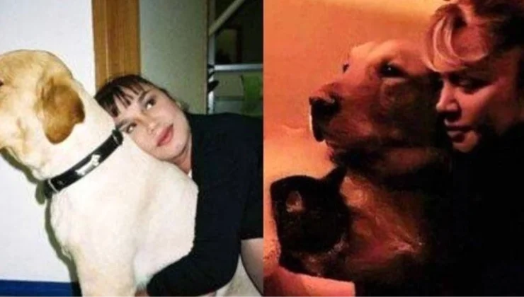 Sezen Aksu’dan sokak köpekleriyle ilgili yasa teklifine tepki