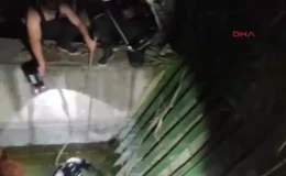 Batman’da Suriye uyruklu çoban kayboldu