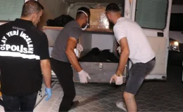 Eski eşi ve birlikte yaşadığı kişiyi pompalı tüfekle öldürdü