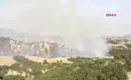 Kula’da çıkan yangında 10 hektarlık orman zarar gördü