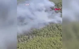 Manavgat’ta Orman Yangını: Havadan ve Karadan Müdahale Devam Ediyor