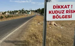 Niğde’de 1 kişiyi hastanelik eden başıboş köpek öldü, mahalle karantinaya alındı