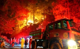 Kahramanmaraş’ta Orman Yangınına Gece Yarısı Müdahale