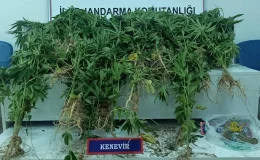 Van’da jandarma operasyonunda uyuşturucu madde ele geçirildi