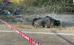 Zonguldak’ta motosiklet kamyonun altına girdi, sürücü hayatını kaybetti