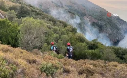 Sinop’ta yangına müdahale eden itfaiye personeli uçurumdan düştü